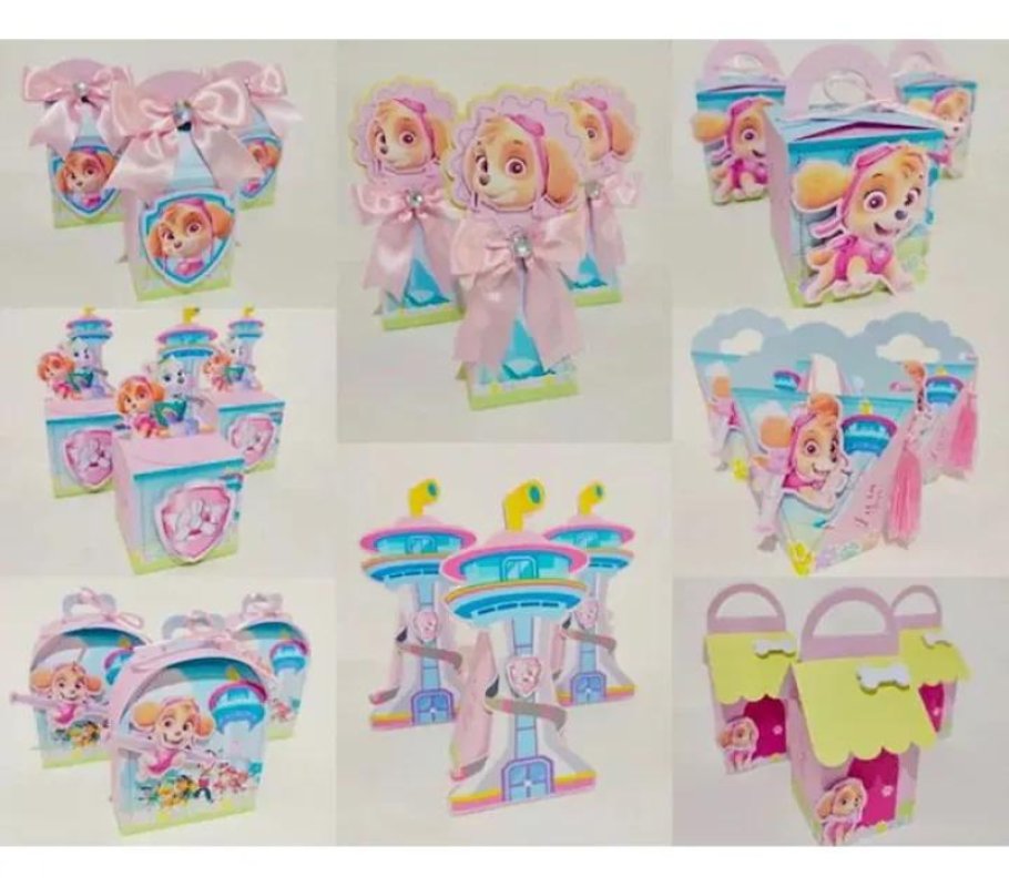 Kit Personalizado 10 Caixinhas Festa Aniversário Skye 4